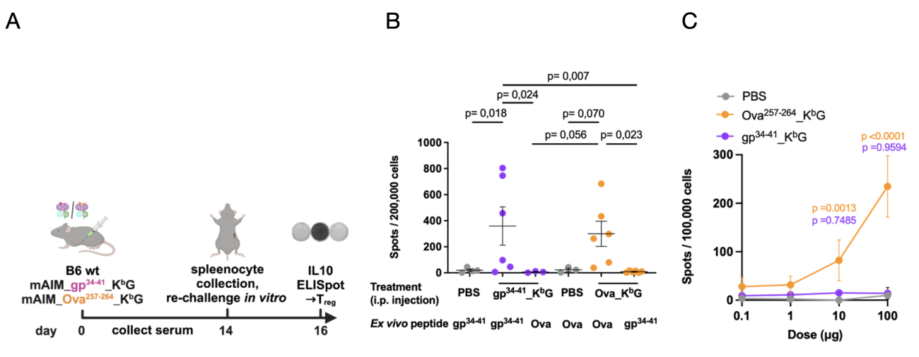Fig 11