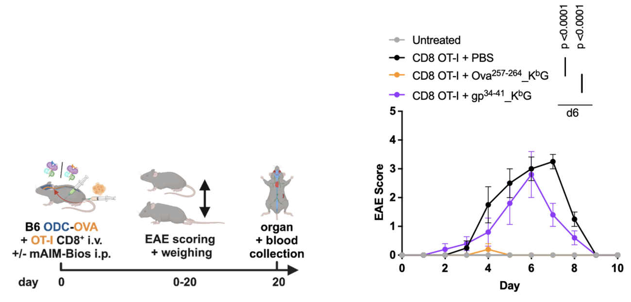 Fig12